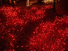 040 Toledo Zoo Light Show [2008 Dec 27]